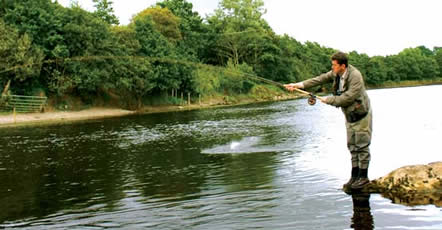 Fishing